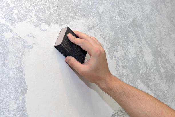 Best Mold-Related Health Consultation  in Mount Pleasant, TX