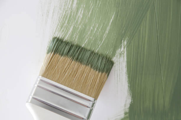 Best Mold Remediation for Healthcare Facilities  in Mount Pleasant, TX