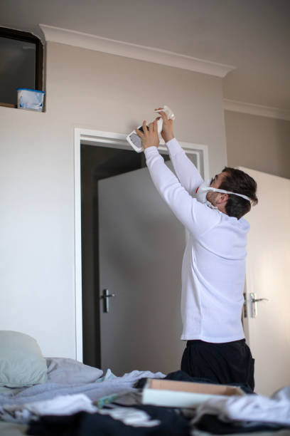Best Forensic Mold Investigation  in Mount Pleasant, TX