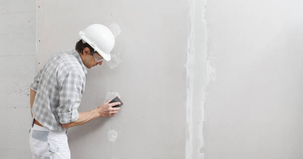 Best Commercial Mold Inspection  in Mount Pleasant, TX