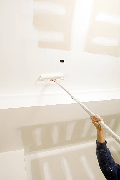 Dehumidification Services in Mount Pleasant, TX