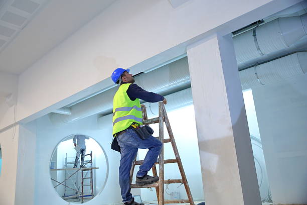 Best Residential Mold Inspection & Testing  in Mount Pleasant, TX